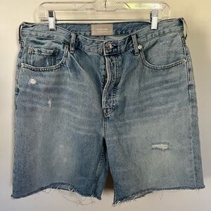 Everlane Cheeky Long Denim Shorts